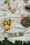 gingham-cotton-napkins2